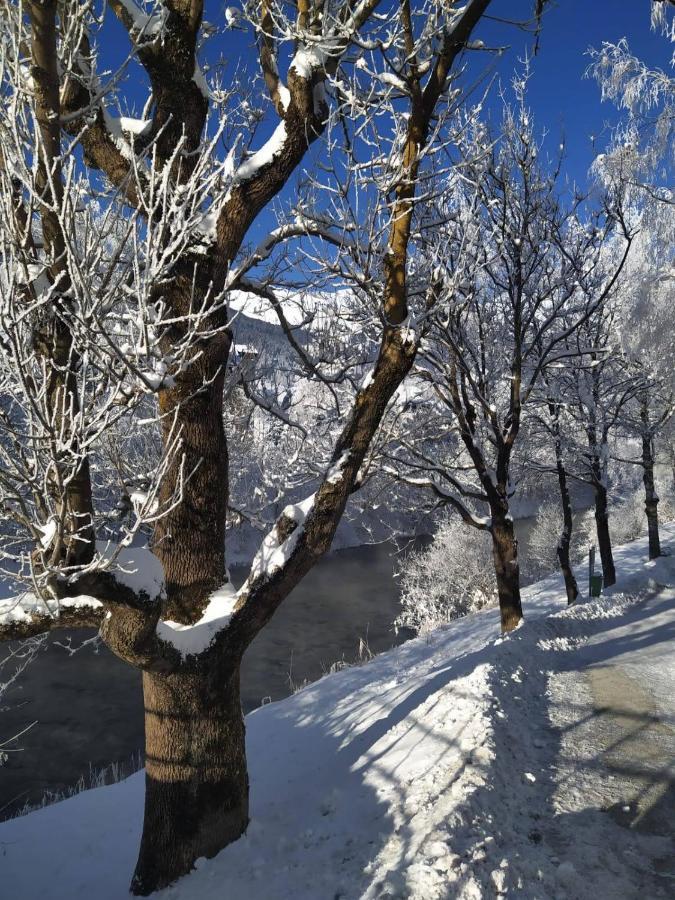 Alpenblick Apartment Gastein - Inklusive Eintritt Alpentherme Bad Hofgastein Εξωτερικό φωτογραφία