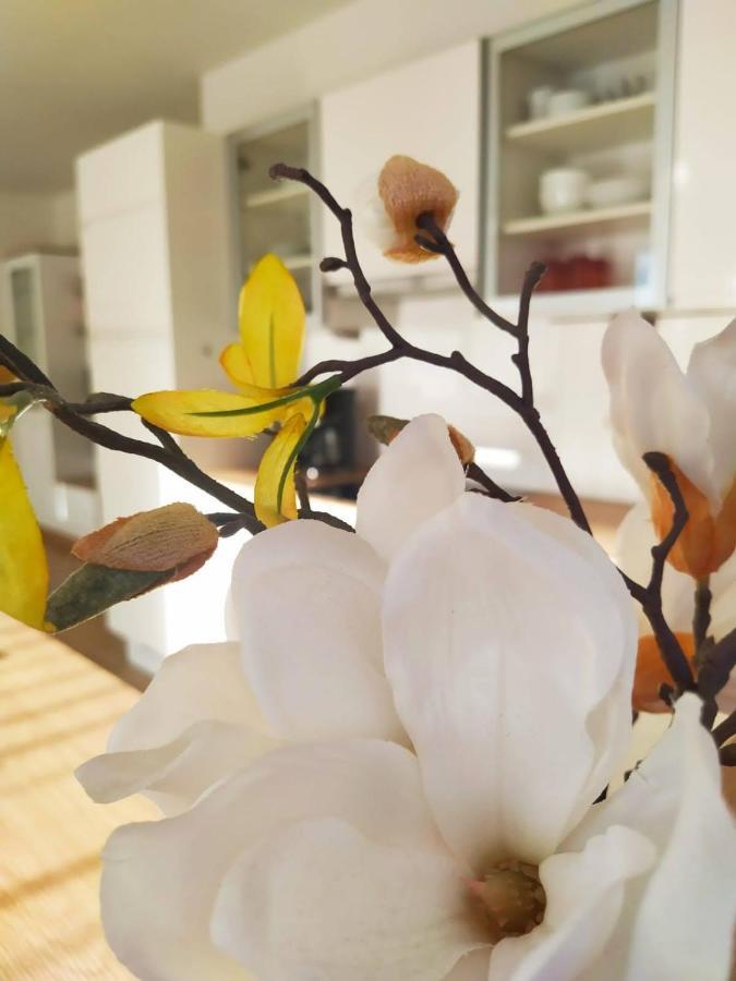 Alpenblick Apartment Gastein - Inklusive Eintritt Alpentherme Bad Hofgastein Εξωτερικό φωτογραφία